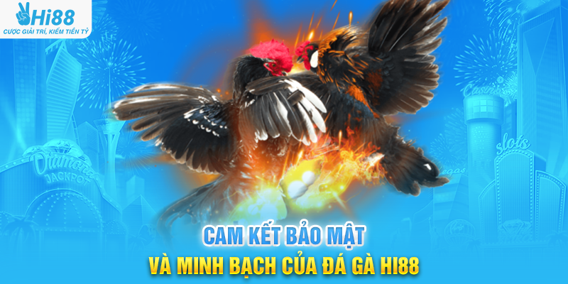 Cam Kết Bảo Mật Và Minh Bạch Của Đá Gà Hi88