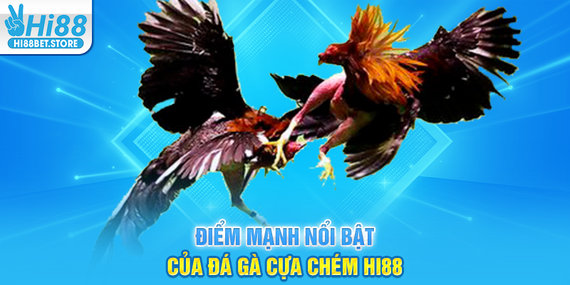 Điểm Mạnh Nổi Bật Của Đá Gà Cựa Chém Hi88