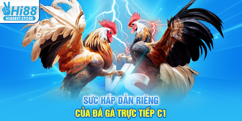 Sức Hấp Dẫn Riêng Của Đá Gà Trực Tiếp C1
