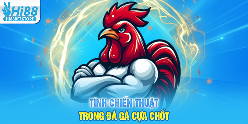 Tính Chiến Thuật Trong Đá Gà Cựa Chốt