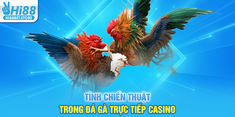 Tính Chiến Thuật Trong Đá Gà Trực Tiếp Casino
