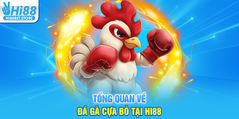 Tổng Quan Về Đá Gà Cựa Bò Tại Hi88