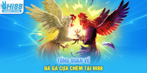 Tổng Quan Về Đá Gà Cựa Chém Tại Hi88