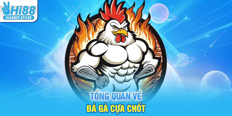 Tổng Quan Về Đá Gà Cựa Chốt