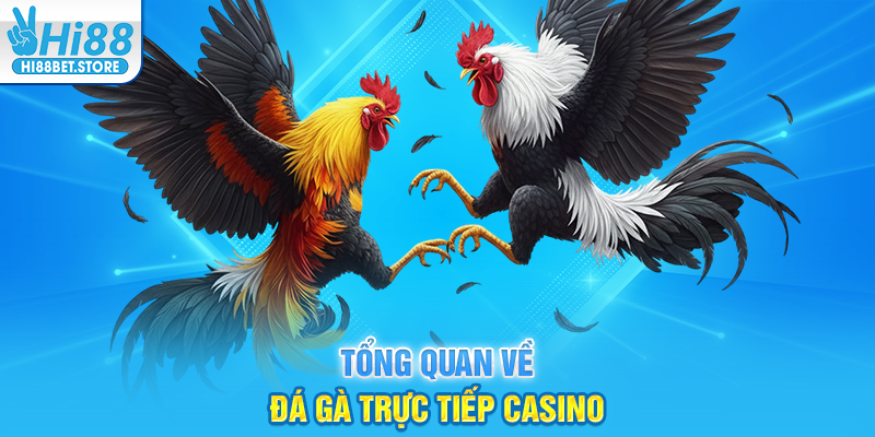 Tổng Quan Về Đá Gà Trực Tiếp Casino