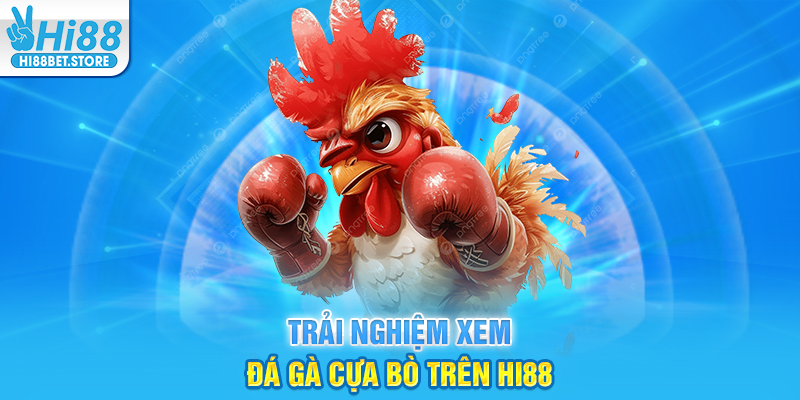 Trải Nghiệm Xem Đá Gà Cựa Bò Trên Hi88